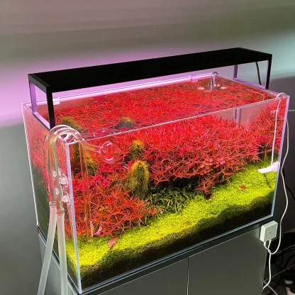 Chihiros WRGB Slim II Led Lighting - Image 5