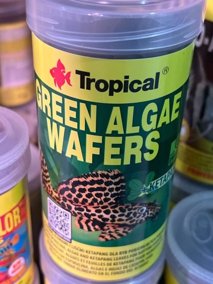 Green algae wafers